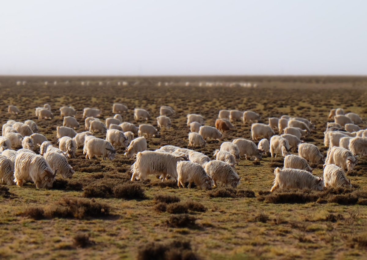 Super 160’s Woolのシルエット