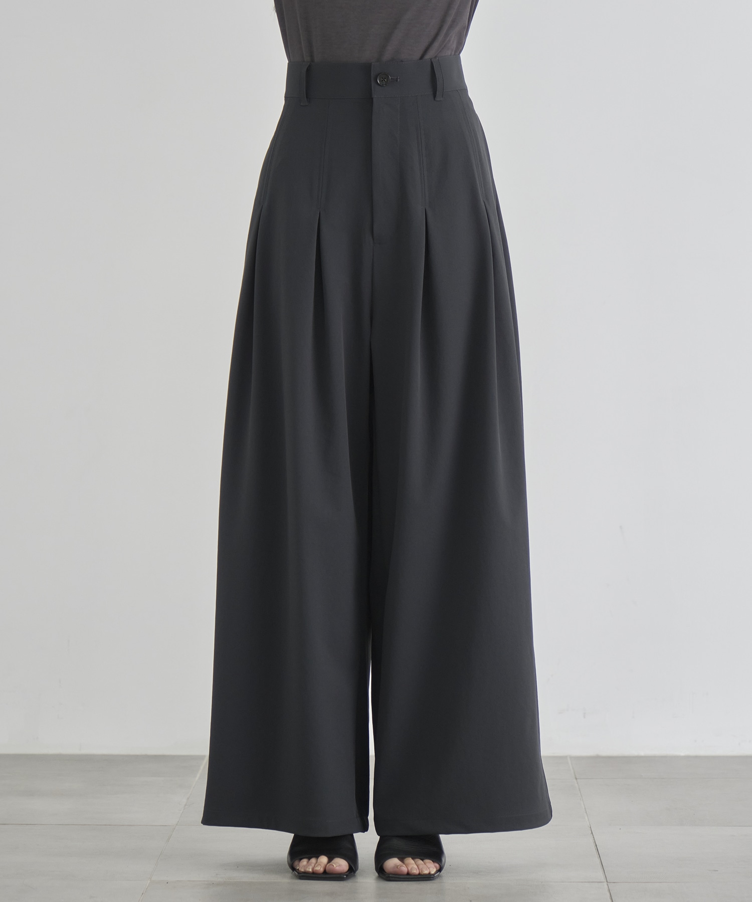 Box Pleat Wide Pants