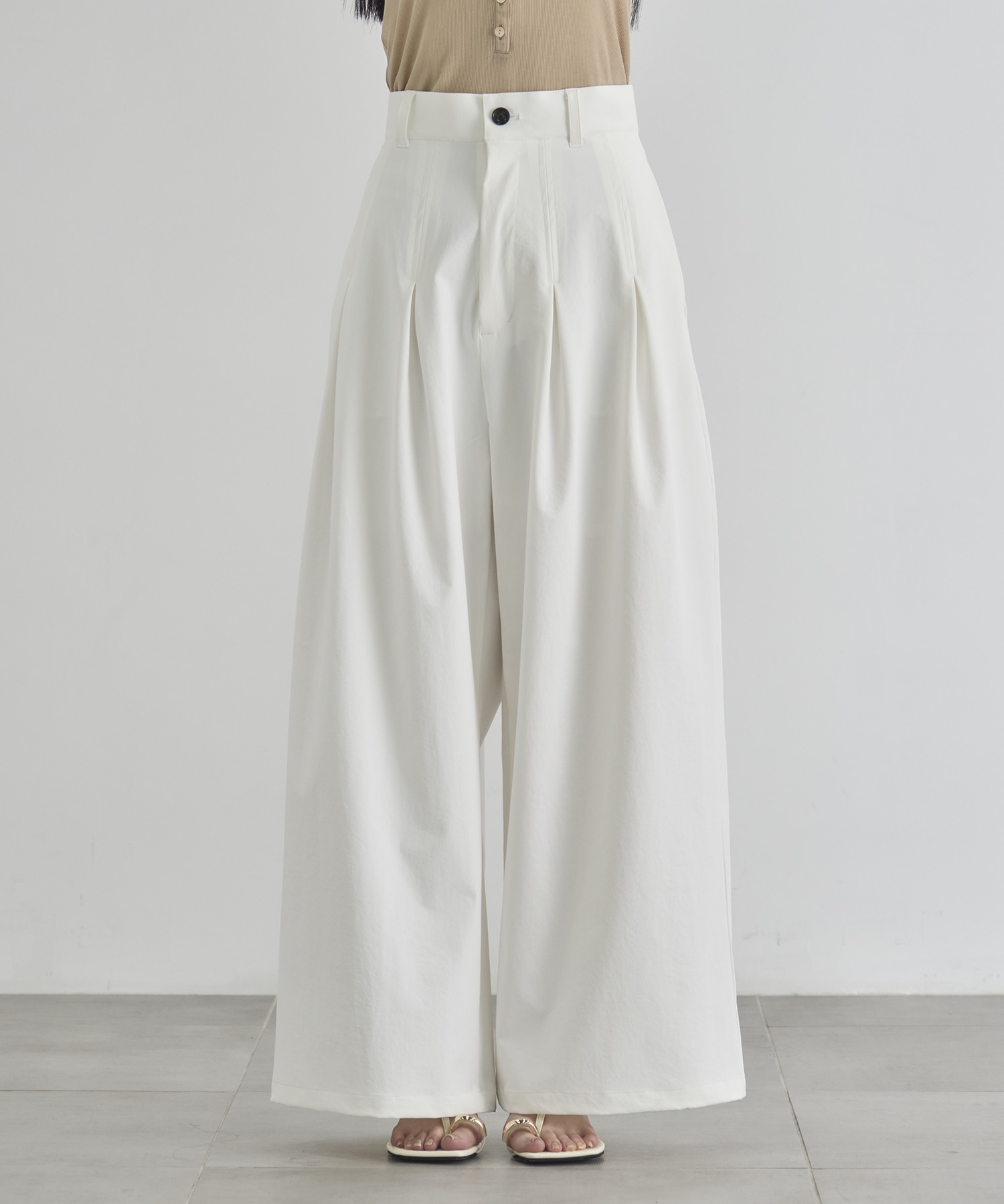 Box Pleat Wide Pants