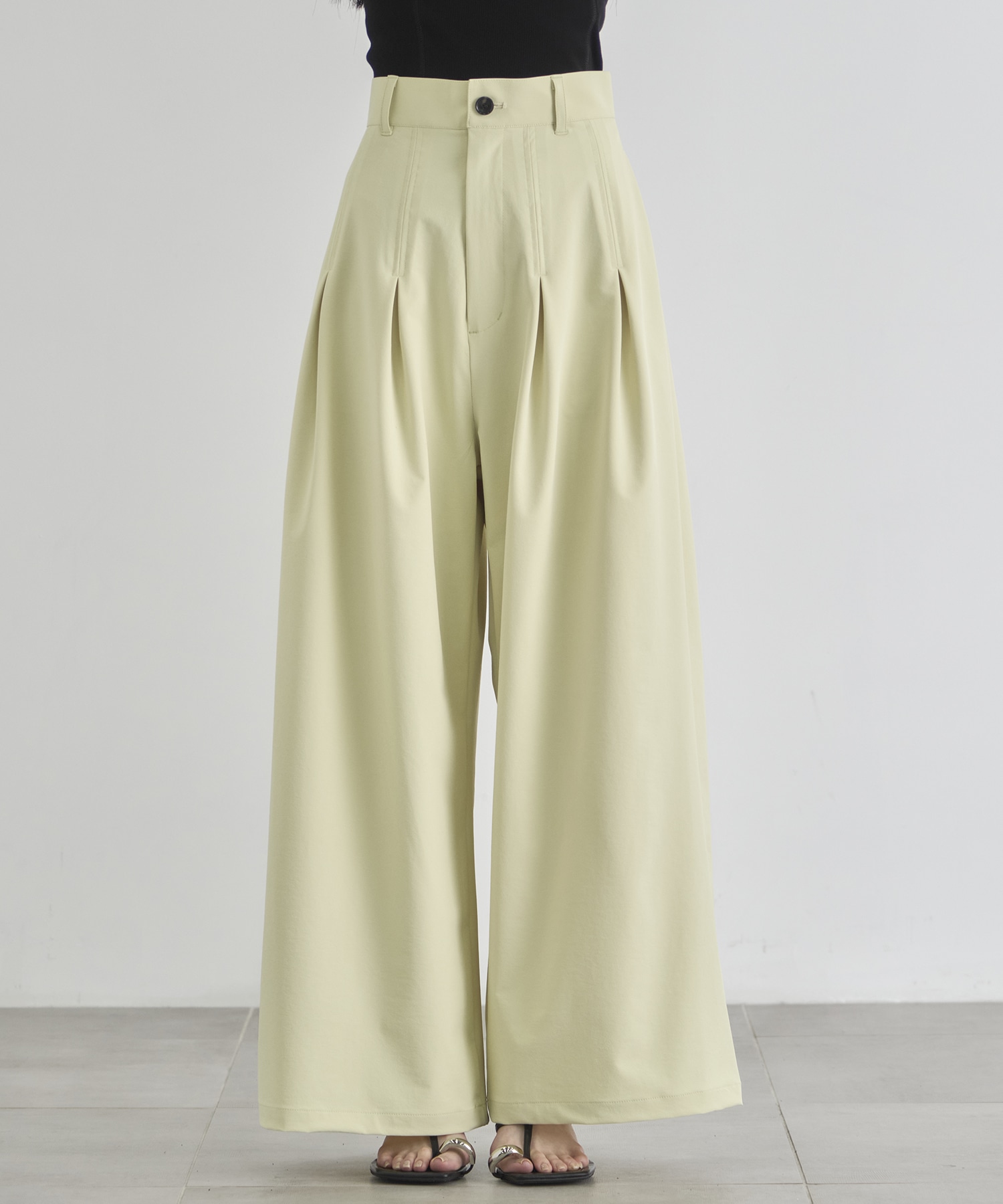 Box Pleat Wide Pants