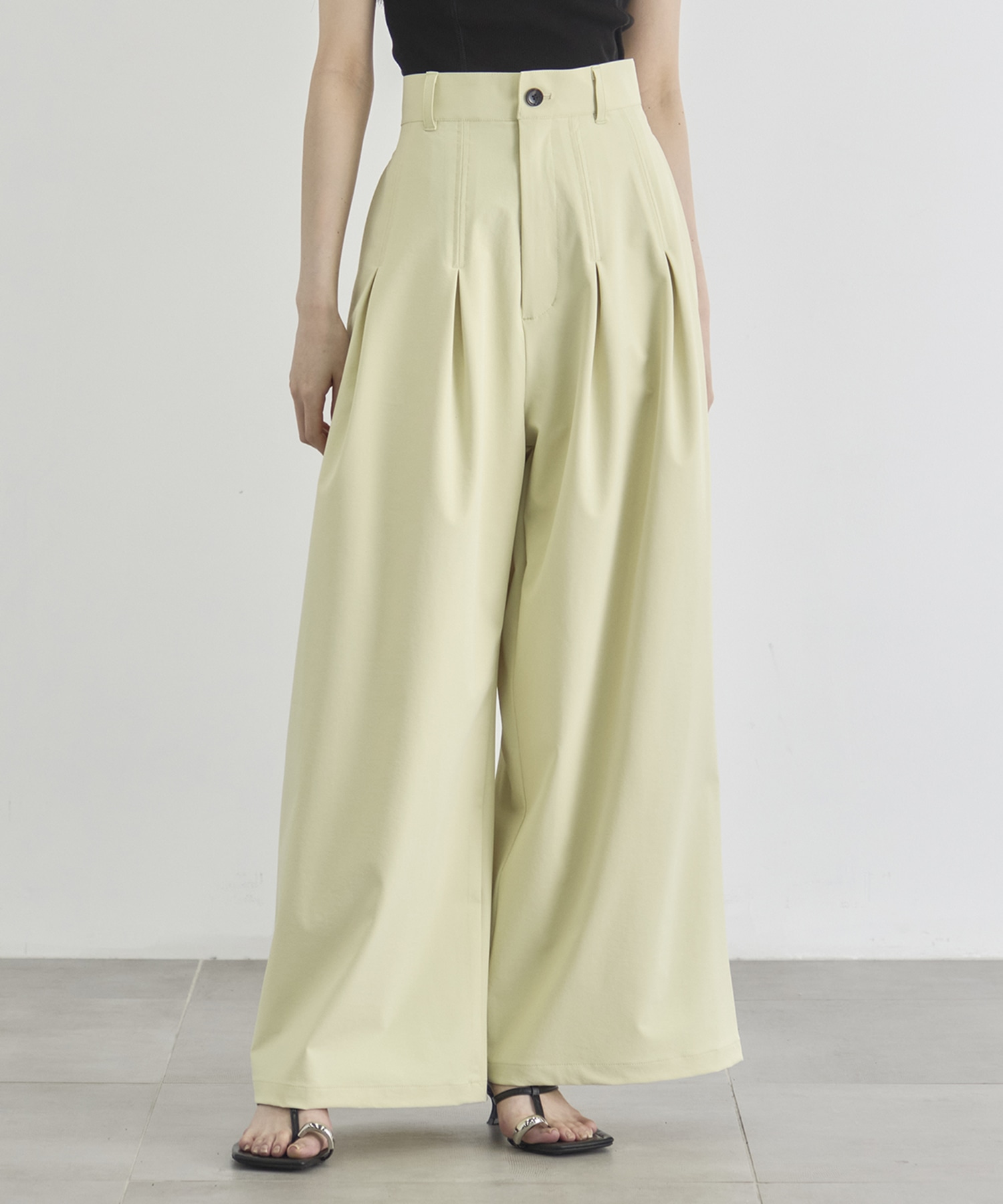 Box Pleat Wide Pants