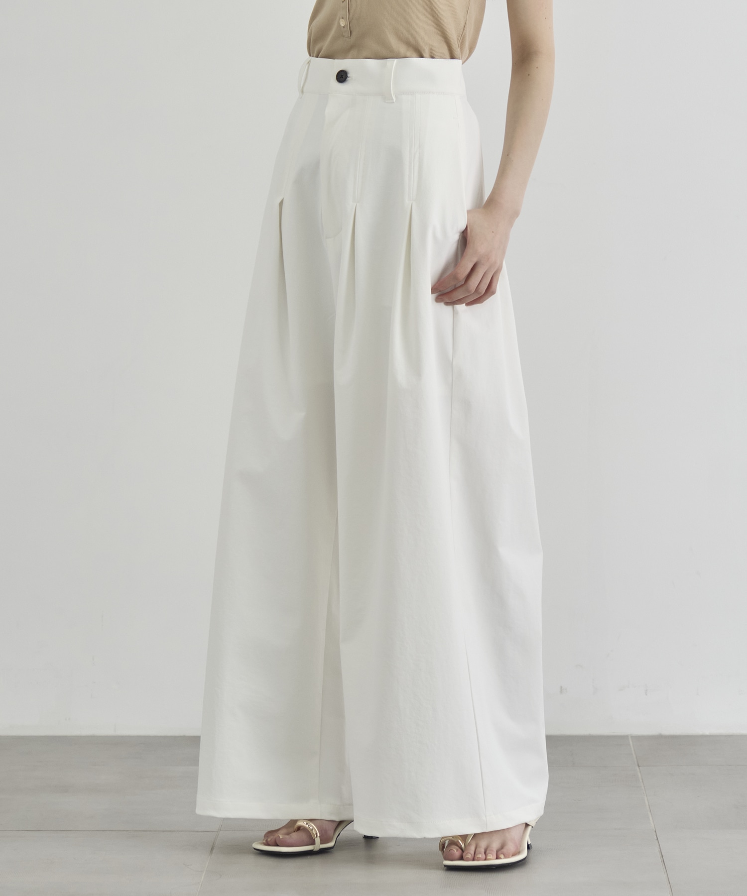 Box Pleat Wide Pants