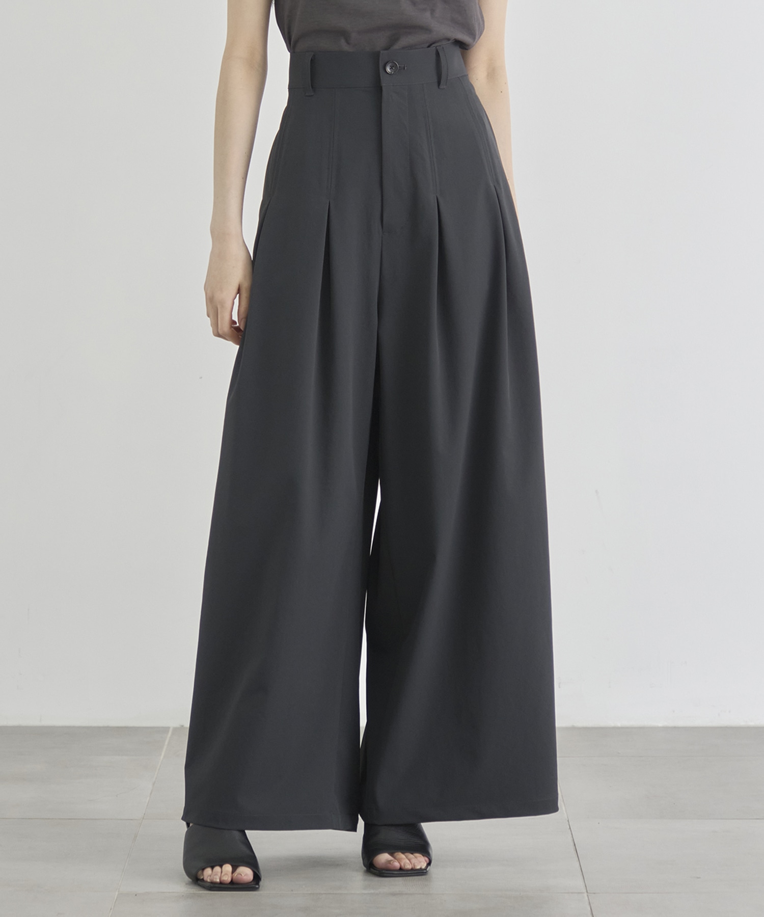 Box Pleat Wide Pants